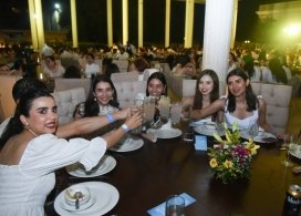 AMOP_3_DIA_-60