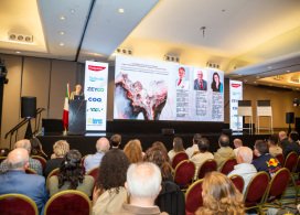 Curso-Magno-2025-700