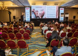 Curso-Magno-2025-701