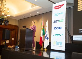 Curso-Magno-2025-814